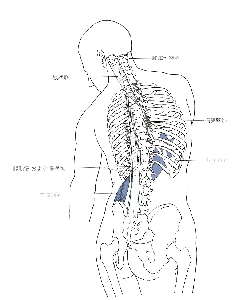 スキャン0023.djpg.jpg